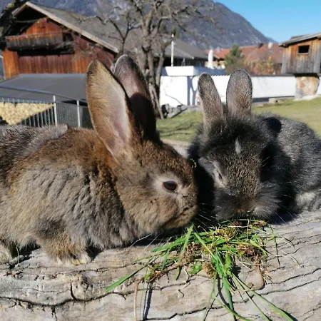 Kinderbauernhof Ierzerhof Farm stay Arzl im Pitztal