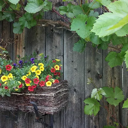 Farm stay Kinderbauernhof Ierzerhof