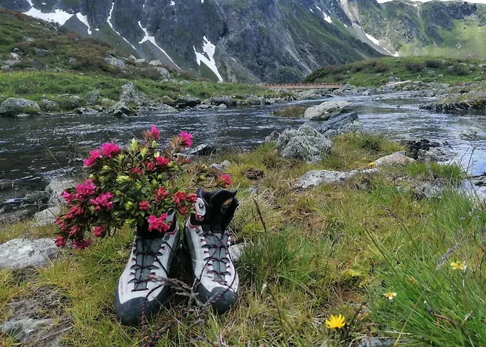 恩瑟亚霍夫儿童农场旅馆 *