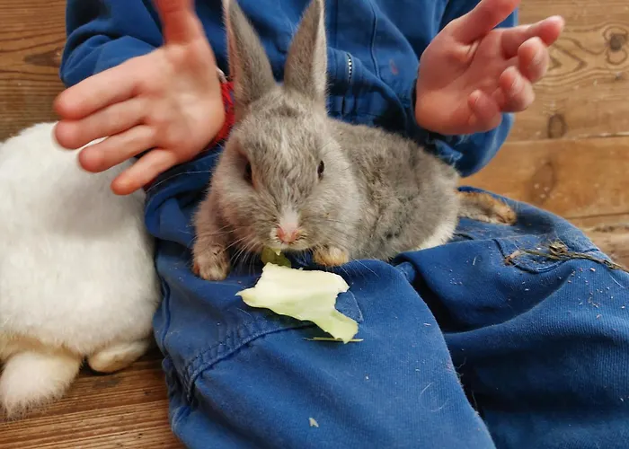 恩瑟亚霍夫儿童农场旅馆 农家乐