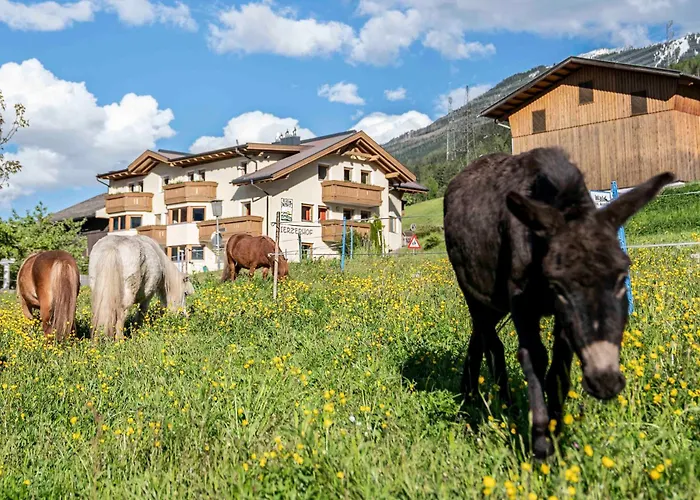 恩瑟亚霍夫儿童农场旅馆 *