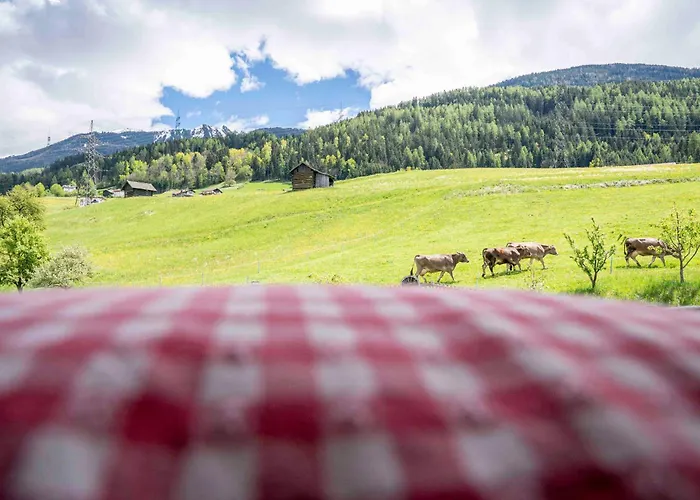 恩瑟亚霍夫儿童农场旅馆 农家乐 阿泽皮茨陶