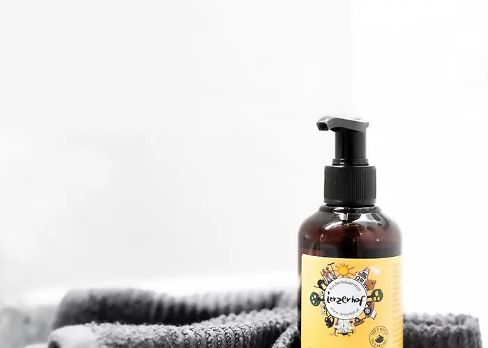 恩瑟亚霍夫儿童农场旅馆 * 阿泽皮茨陶