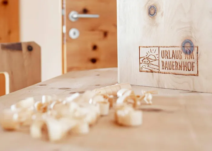 农家乐 恩瑟亚霍夫儿童农场旅馆 *