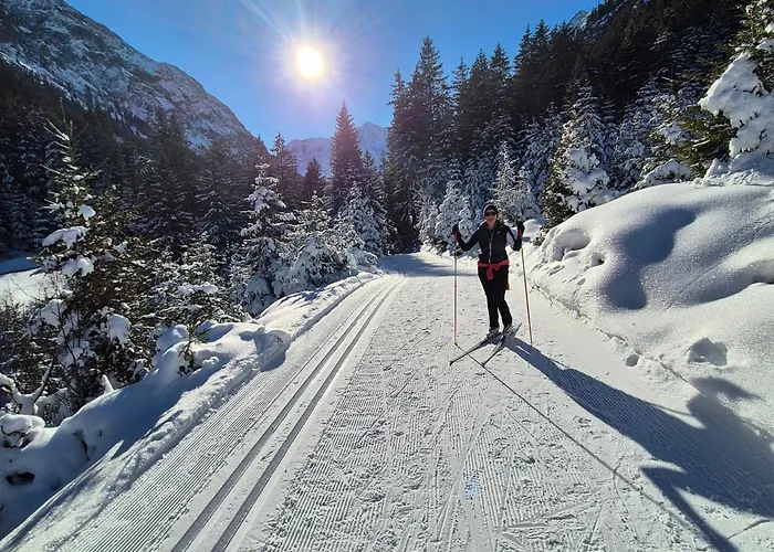 农家乐 恩瑟亚霍夫儿童农场旅馆 阿泽皮茨陶