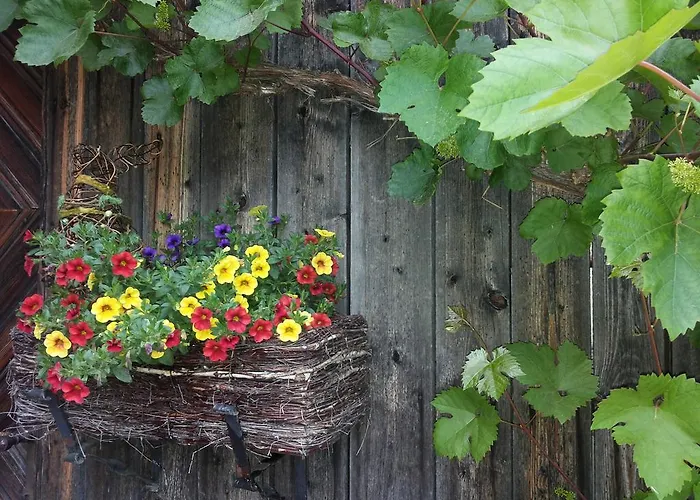 农家乐 恩瑟亚霍夫儿童农场旅馆