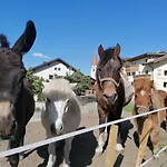 Kinderbauernhof Ierzerhof Bauernhof Arzl im Pitztal
