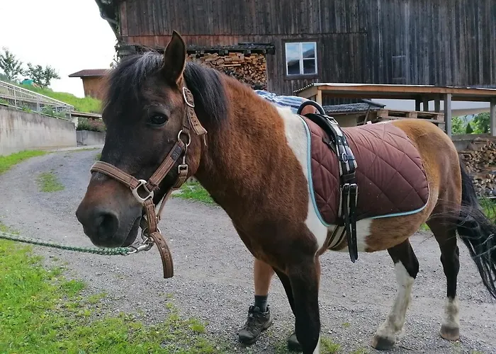 Séjour à la ferme Kinderbauernhof Ierzerhof *