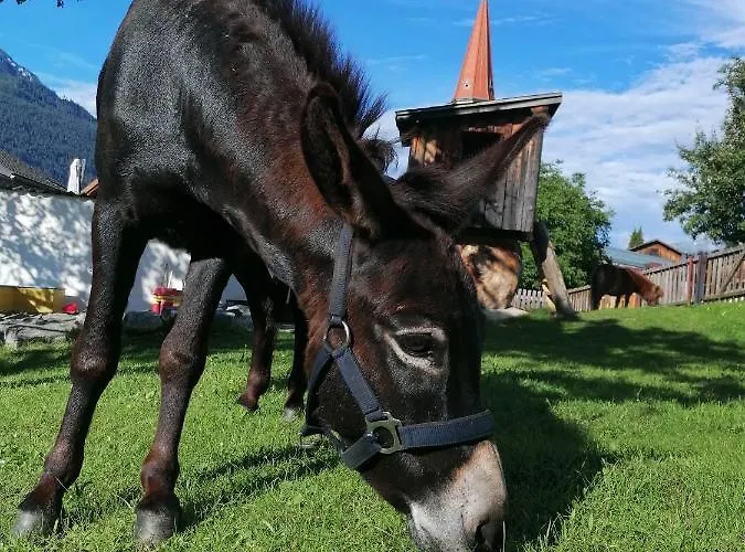 Kinderbauernhof Ierzerhof