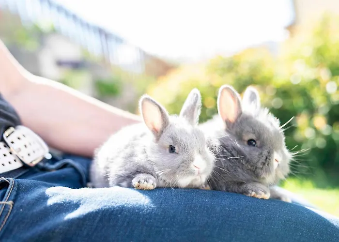 Séjour à la ferme Kinderbauernhof Ierzerhof Arzl im Pitztal